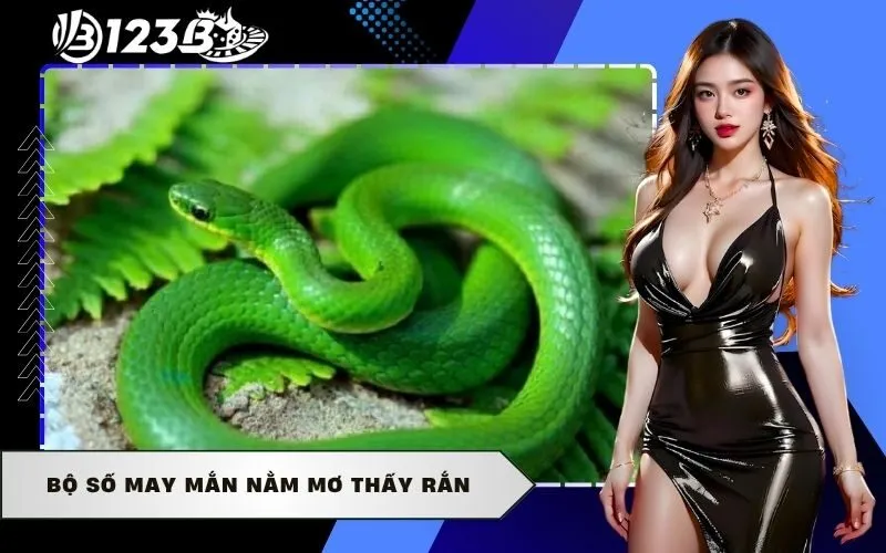 Bộ số may mắn nằm mơ thấy rắn
