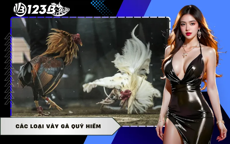 Các loại vảy gà quý hiếm
