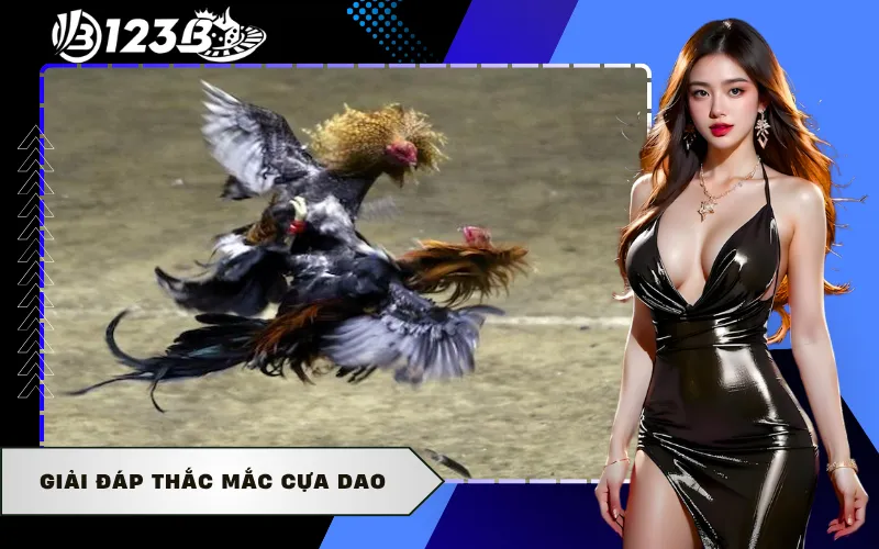 Giải đáp thắc mắc cựa dao