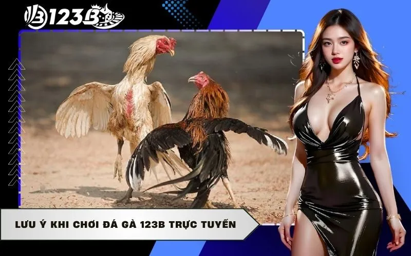 Lưu ý khi chơi Đá Gà 123b trực tuyến