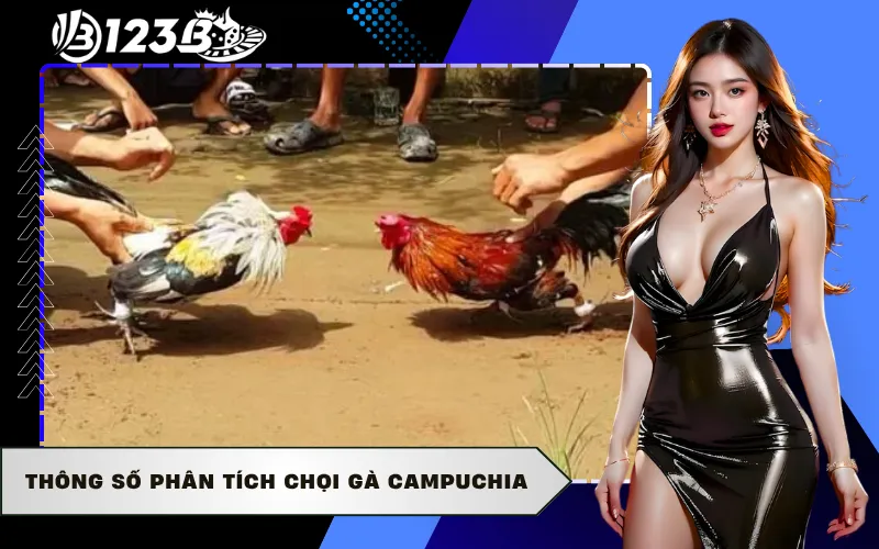 Thông số phân tích chọi gà campuchia