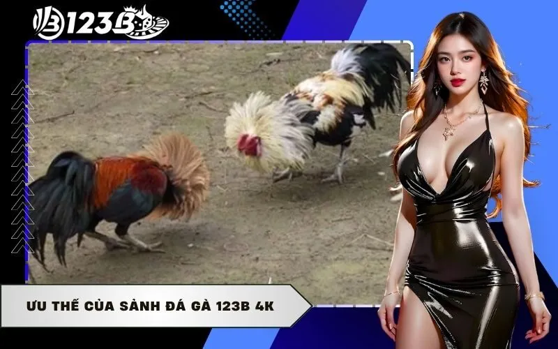 Ưu thế của sảnh Đá Gà 123b 4K