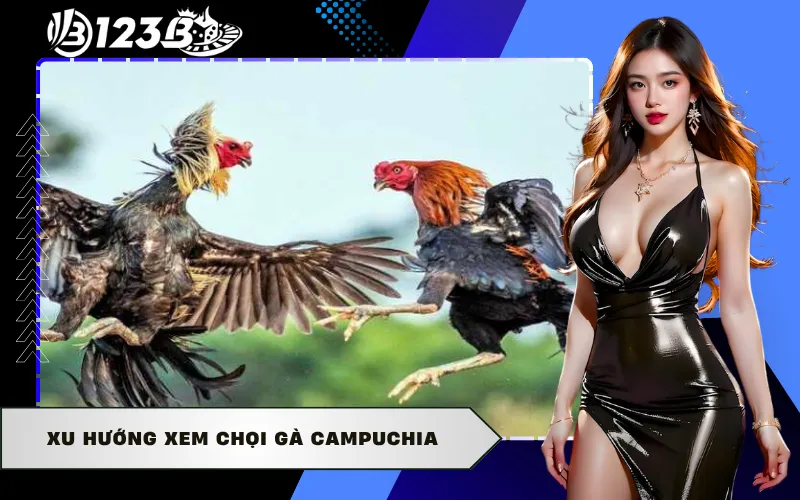 Xu hướng xem chọi gà campuchia
